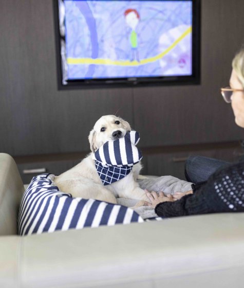 A woman watches TV with puppy on its bed beside her Image