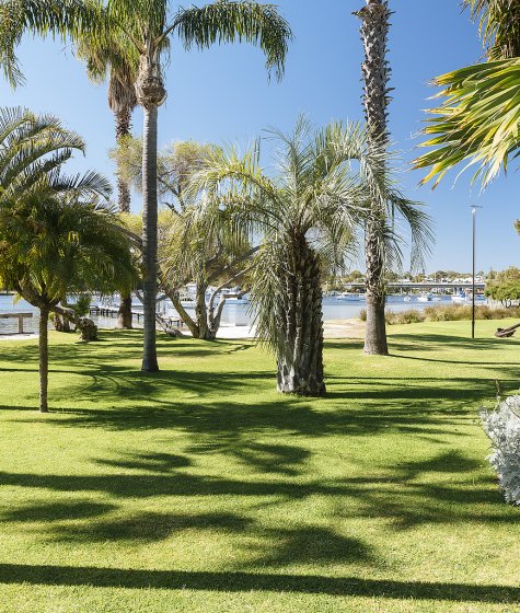 Palm trees in front of Pier 21 Image