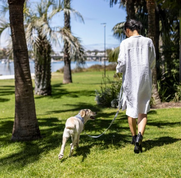 A woman walking with a puppy at Pier 21 in Fremantle