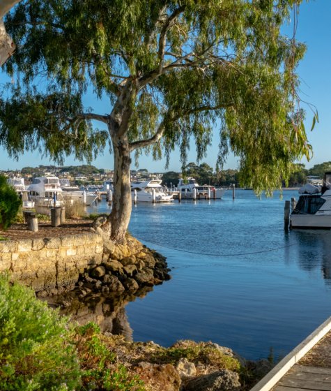 walking trail in north fremantle by the swan river Image