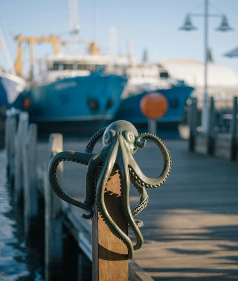 metal octopus on the rail of the harbourside with yachts in background Image