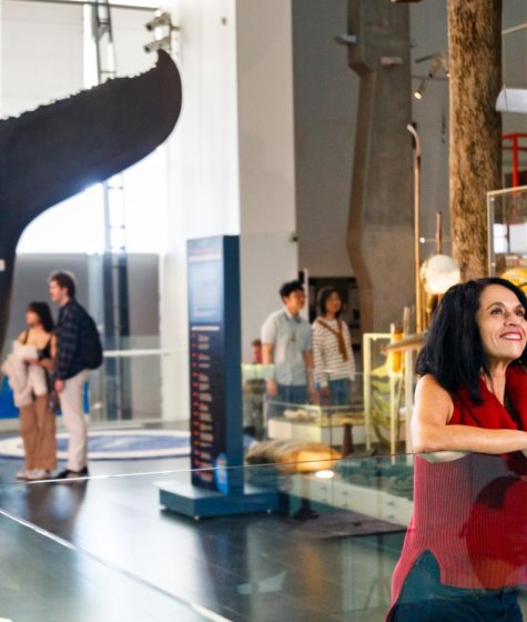 People looking around the wa maritime museum Image