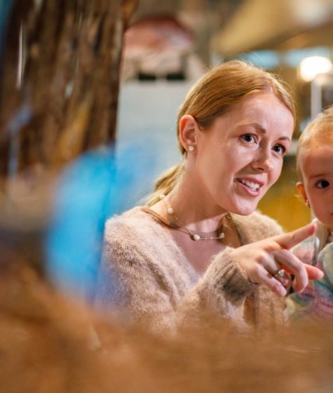A mother holding her child and point out an exhibit at the wa maritime museum Image